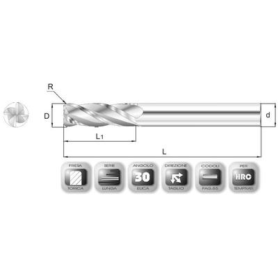 10 x 30 mm, Keményfém maró, 66AV, 100 mm teljes hossz, 10 mm szár átmérő, és 2 mm sarokrádiusz